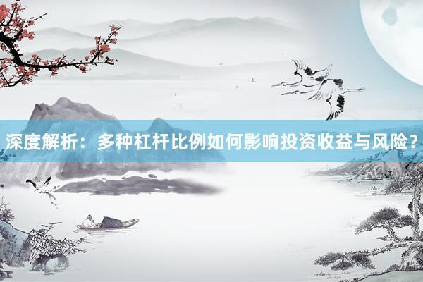 深度解析：多种杠杆比例如何影响投资收益与风险？