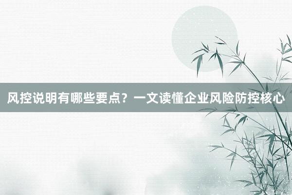 风控说明有哪些要点？一文读懂企业风险防控核心
