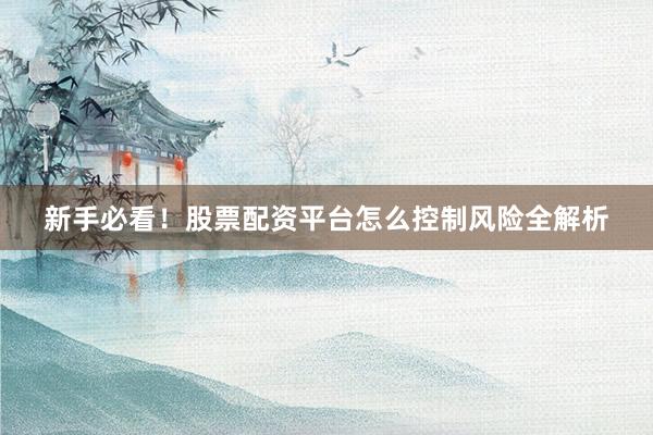新手必看！股票配资平台怎么控制风险全解析
