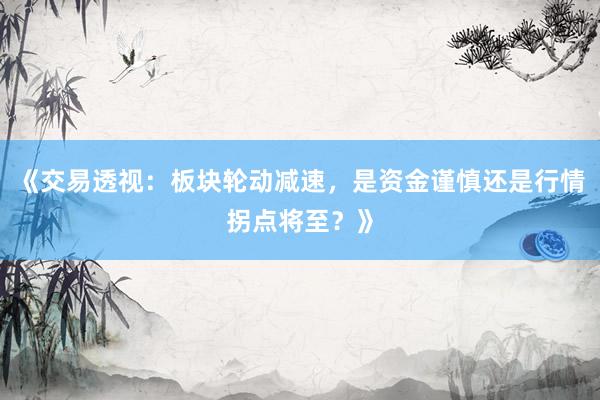 《交易透视：板块轮动减速，是资金谨慎还是行情拐点将至？》