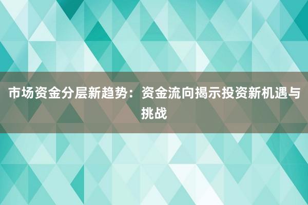 市场资金分层新趋势：资金流向揭示投资新机遇与挑战