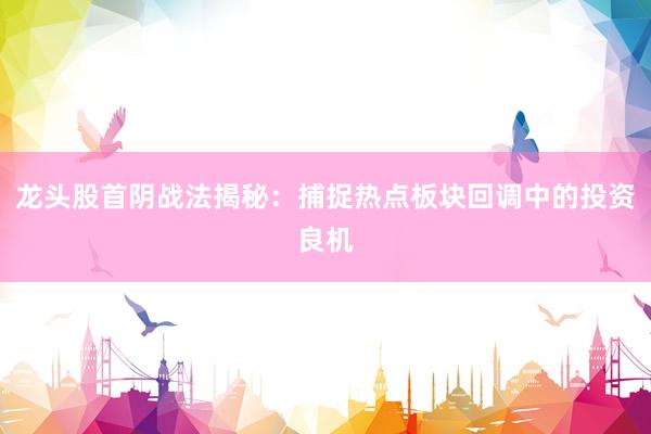 龙头股首阴战法揭秘：捕捉热点板块回调中的投资良机
